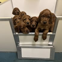 Gallery 628326812 1604654937507323 6643800379798960492 n