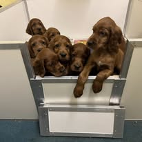 Gallery 629213189 1604649794174504 1216540941022506220 n