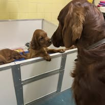 Gallery 629240975 1604650887507728 1226150008292349959 n