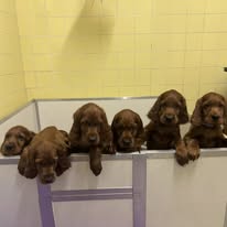 Gallery 634057359 1612553136717503 700107694039039413 n