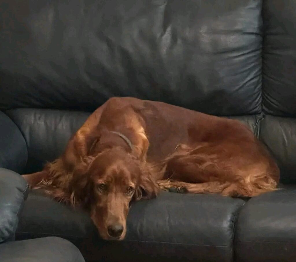 Gallery 1772570479819