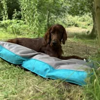 Gallery 516439616 1436287104344108 6842872071404493423 n