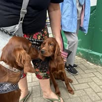 Gallery 516631996 1436286077677544 1020176296624561761 n