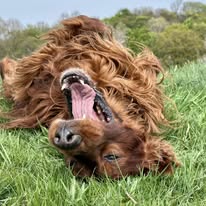 Gallery 516639458 1436285011010984 5031635234123050998 n