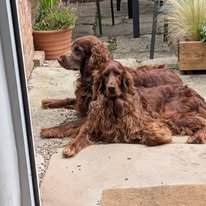 Gallery 517653103 1436282394344579 3082400361752478220 n