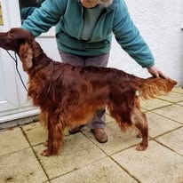 Gallery 517720501 1436287934344025 8757082398800684441 n