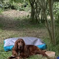 Gallery 517991227 1436287501010735 7226487880661707867 n