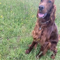 Gallery 518100115 1436283087677843 8042123618830983181 n