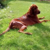 Gallery 518121707 1436285384344280 8032427670710626721 n