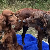 Gallery 518186249 1436288504343968 8681446928984245159 n