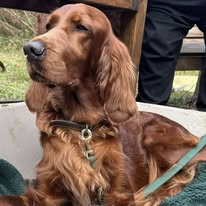 Gallery 518227449 1436289401010545 4467611506006577775 n