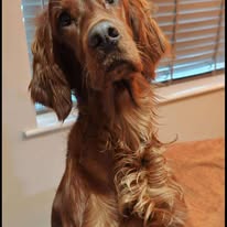 Gallery 518270095 1436279564344862 3217620476890131131 n