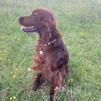 Gallery 518273102 1436283994344419 3740622228171658278 n