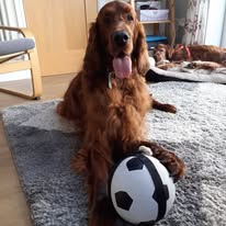 Gallery 518274448 1436281291011356 7201311373712202723 n