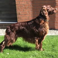 Gallery 518277134 1436284714344347 2621287941873028070 n