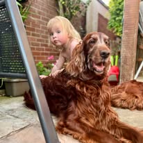 Gallery 518283727 1436282454344573 8616083065177912091 n