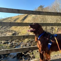 Gallery 518288877 1436291051010380 7263952862944257609 n