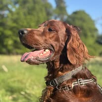 Gallery 518292527 1436286477677504 8499380334916748685 n