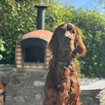 Gallery 518298236 1436286764344142 841691071886743359 n