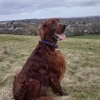 Gallery 518308236 1436281387678013 4056614332436493676 n