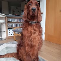 Gallery 518311536 1436281347678017 9106534902693737699 n