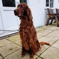 Gallery 518311567 1436287991010686 7050063307400482927 n