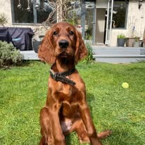 Gallery 518318769 1436290484343770 7928791405301744125 n