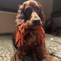 Gallery 518322083 1436279617678190 6072802740977681634 n