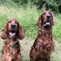 Gallery 518331094 1436287414344077 8784432852703914882 n