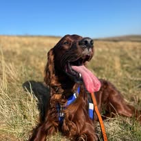 Gallery 518334185 1436291021010383 1676380343764444547 n