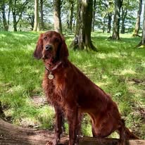 Gallery 518362169 1436285634344255 3922330476087513874 n