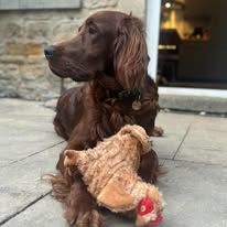 Gallery 518372954 1436286937677458 3283243149793285717 n