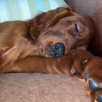 Gallery 518379082 1436290334343785 3356622667455195664 n