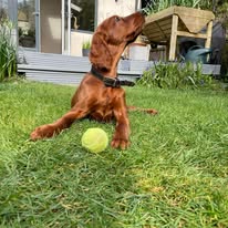 Gallery 519423724 1436290564343762 5373280304019340126 n