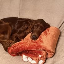 Gallery 595851039 1557223522250465 3031046183307576255 n