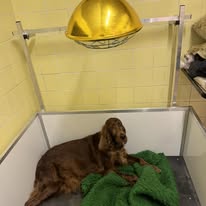 Gallery 599948806 1563811748258309 5631468971895935574 n