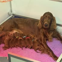 Gallery 603851561 1572620454044105 100546062683745972 n