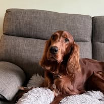 Gallery 605283623 1575243783781772 2640680434855776664 n