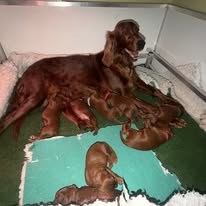 Gallery 605543324 1572620474044103 8969366290481983196 n