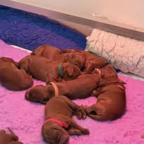 Gallery 605634516 1572620447377439 7423865799138883892 n