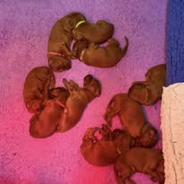 Gallery 605767657 1575241050448712 895187868242194395 n