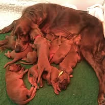 Gallery 607621806 1577665766872907 2108471962402482289 n