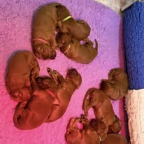 Gallery 607647754 1575241043782046 2133957785048869808 n