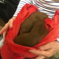 Gallery 607686267 1577665263539624 4080437375584463783 n