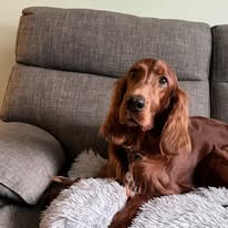 Gallery 607709501 1575243657115118 5882090019367381027 n