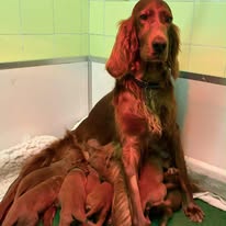 Gallery 607864999 1577665746872909 1247991941518835194 n