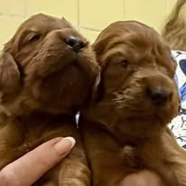 Gallery 607926952 1577665186872965 841563494960521816 n