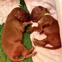 Gallery 607959105 1577665203539630 3196653459223520405 n