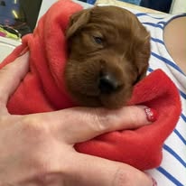 Gallery 608059483 1577665236872960 5539332821360724294 n