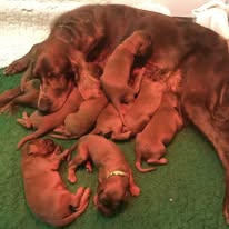 Gallery 608554427 1577663433539807 3858592292822936602 n